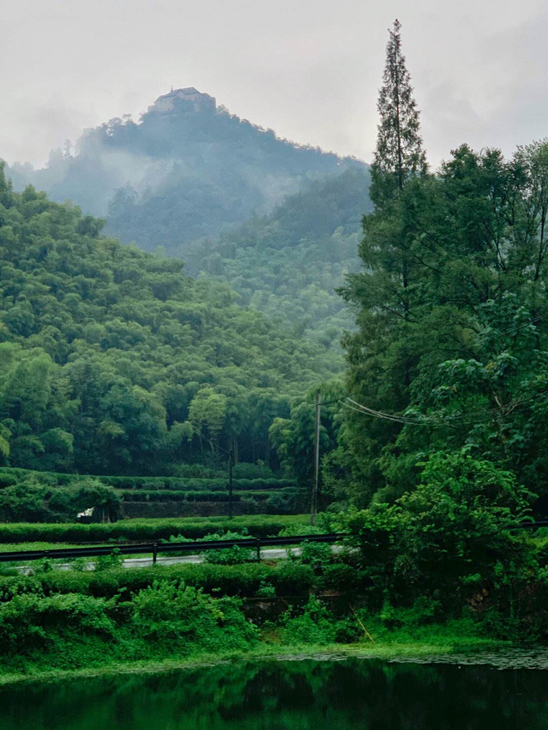 浙江一座全年全天开放的山,被誉为"江南第一山",是天然的氧吧_莫干山