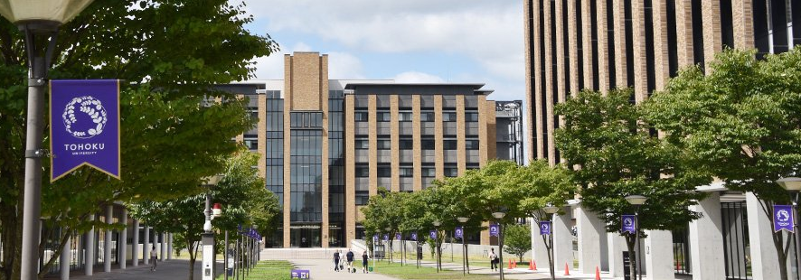 【出愿】2024年东北大学出愿信息早知道_学部_学科_成绩