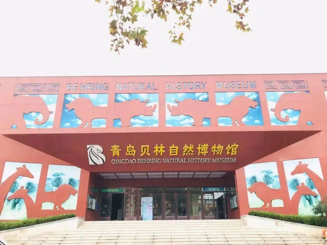神兽"出笼,非常适合来一场亲子游, 带着孩子一起逛青岛贝林自然博物馆