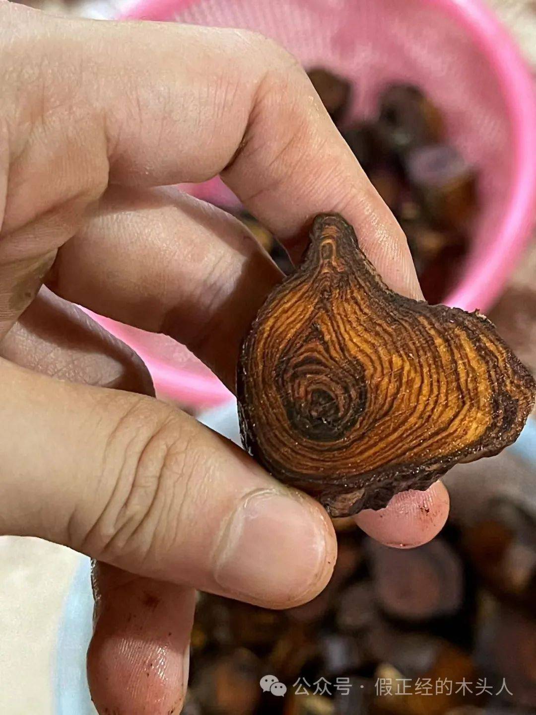 海南黄花梨(一)海南黄花梨认知(2)产地:霸王岭_产区_东方_材料
