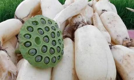 还可以将莲藕与其他成分结合制成面膜或护肤产品来达到美白的功效