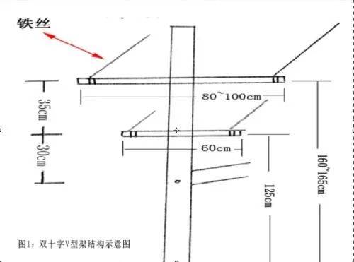 葡萄架水泥杆制作方法图片