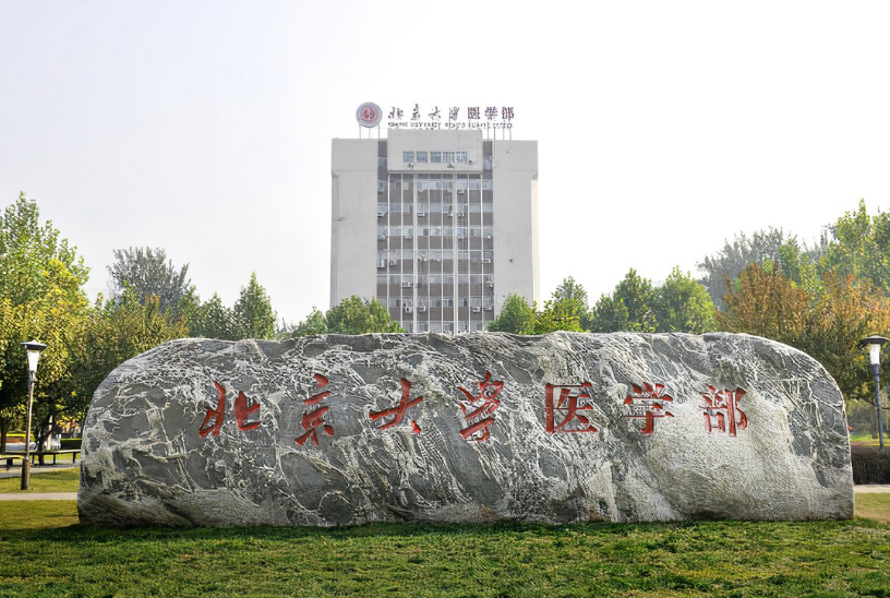 北京大学医学部63人中博士13人,硕士38人,本科12人,岗位涉及34个科室