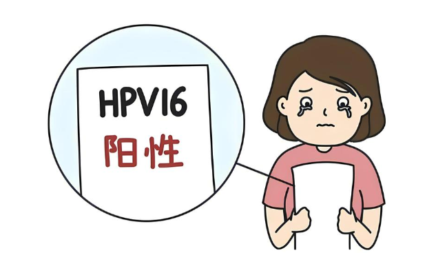 hpv是什么病卡通图片