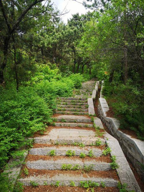 大三巴牌坊一炮台山一金莲花广场-妈祖庙一前往口岸过关一住珠海day3.
