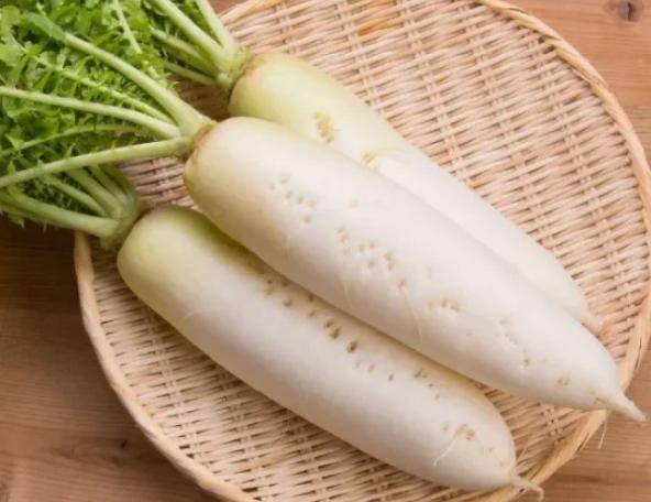 除了其营养价值之外,白萝卜还具有很好的药用功效,中医认为,白萝卜