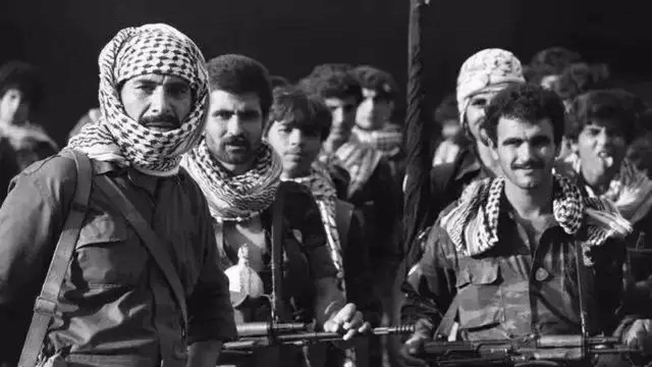 部落_瓦哈比派_革命