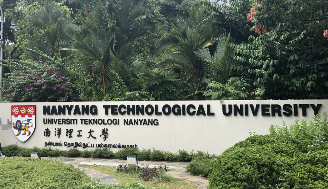 新加坡南洋理工大学校园游学政策大变动!_行为_旅行社_旅游
