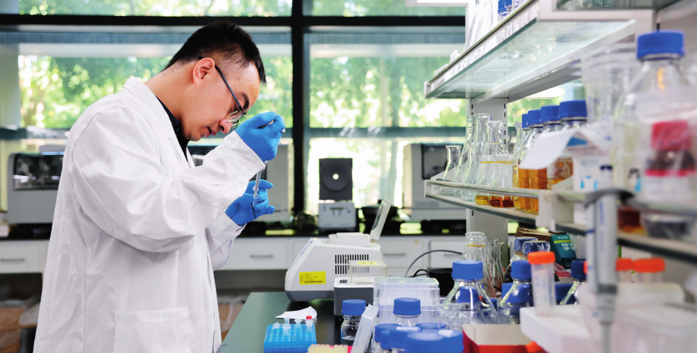 在中国科学院天津工业生物技术研究所实验室,科研人员杨建刚在做人工