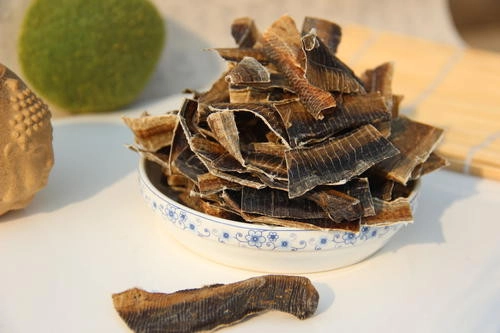 【中药材进口清关】天津港|泰国地龙进口清关所需资料及流程介绍-码住