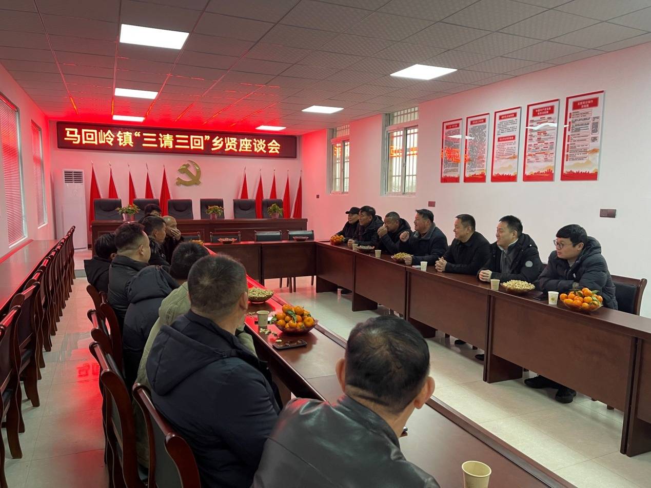 座谈会上,马回岭镇党委书记周靖凯向乡贤详细介绍了马回岭镇2023年