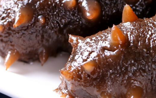 海参发泡有多简单?四步教你完全搞定!_影响_小时_营养