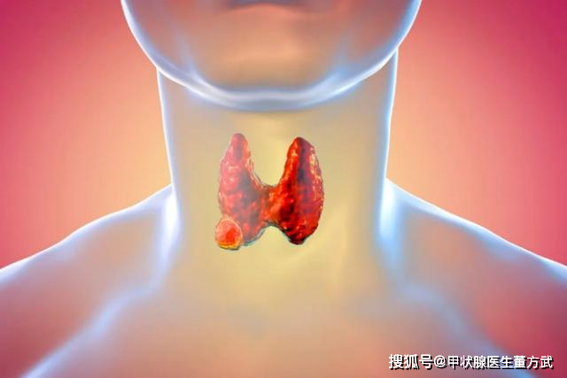 甲状腺_患者_功能