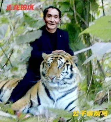 他拍华南虎的照片,被判入狱两年半,出狱后拍到老虎屎,真相大白_周正龙