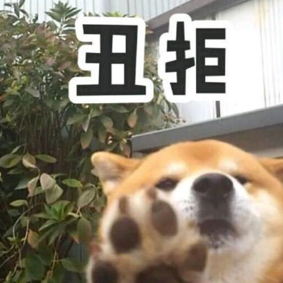 真假柴犬那么乱,还有很多人喜欢?圈内人:这些优点真不