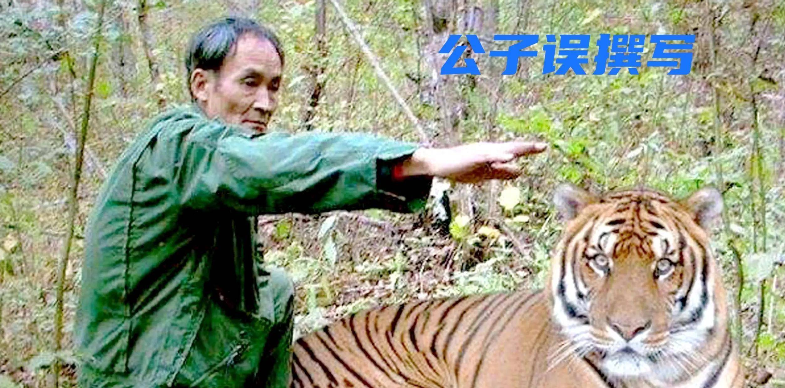 他拍华南虎的照片,被判入狱两年半,出狱后拍到老虎屎,真相大白_周正龙