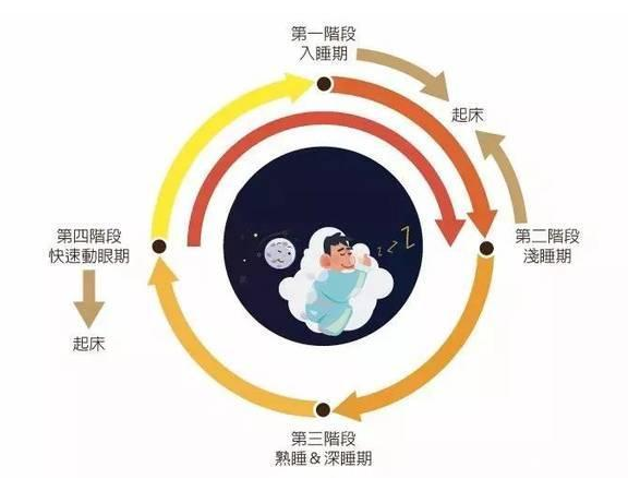 性能力与晨勃的关系你了解吗?_次数