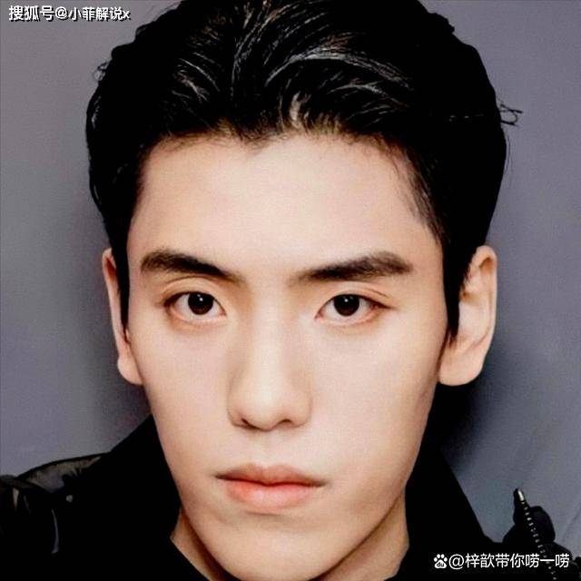 王子异和刘雨昕等人,整容前还有着青春阳光,真挚可爱的形象,成功捕获