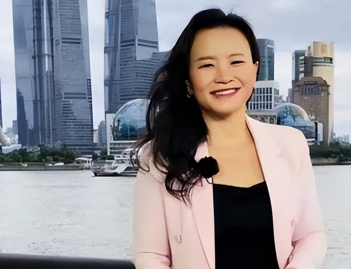 中国财经频道主持人成蕾(中国财经频道主持人成蕾简介)