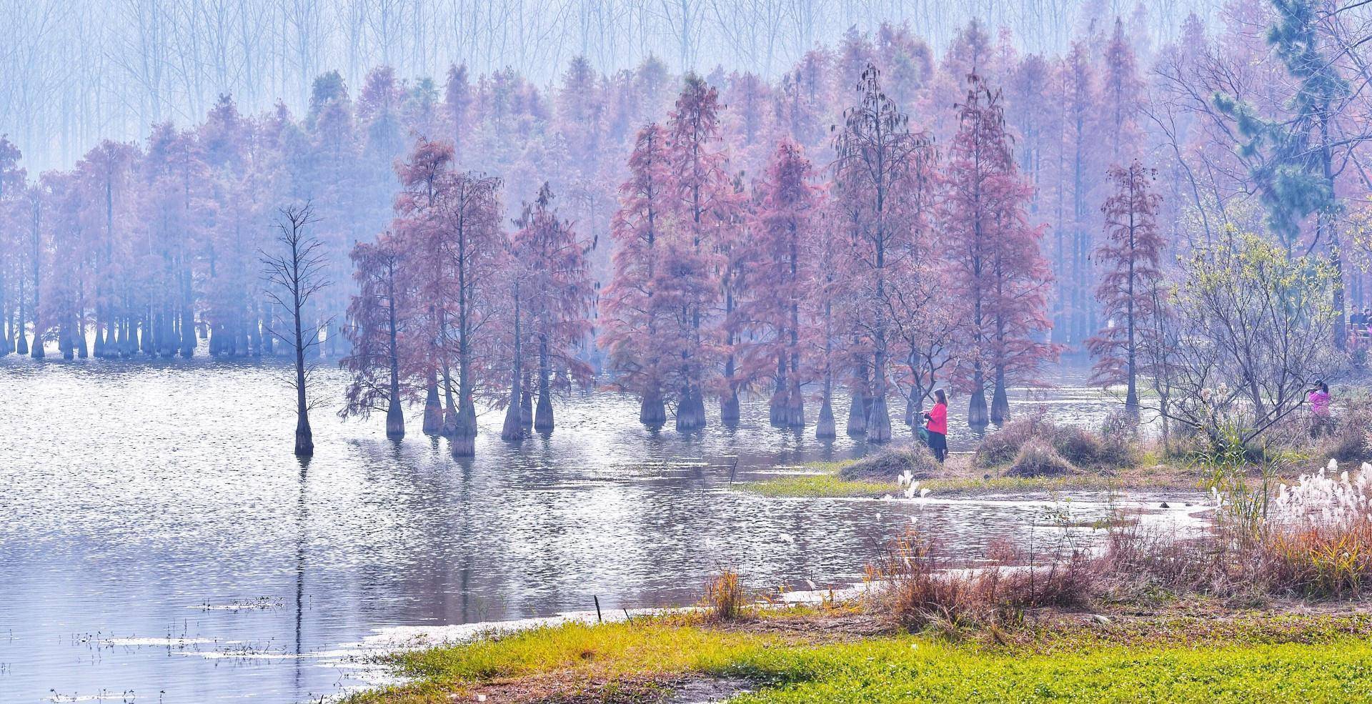 南京市郊这个小众景点,离市区才60多公里,景美免费,却