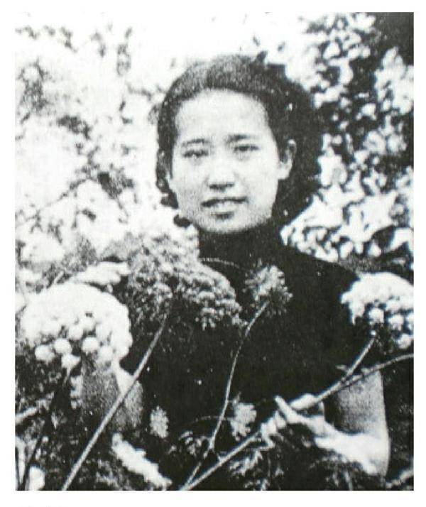 赵清阁_曹诚_胡絜青