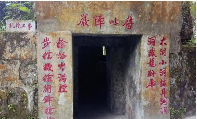 老山猫耳洞:三个蚊子一盘菜,十个老鼠一麻袋,仗好打,苦难熬_战斗_舌头