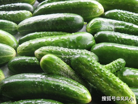 夏天养生正当时,3种食物多多益善,补充营养,身体棒棒!