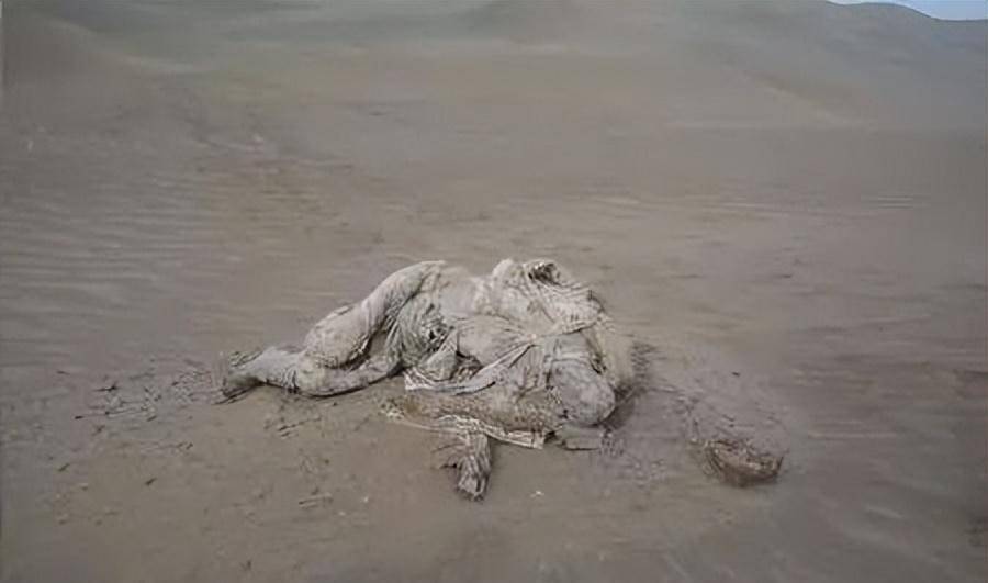 2016年罗布泊惊现神秘干尸,调查后发现,竟是失踪多年的英雄战士