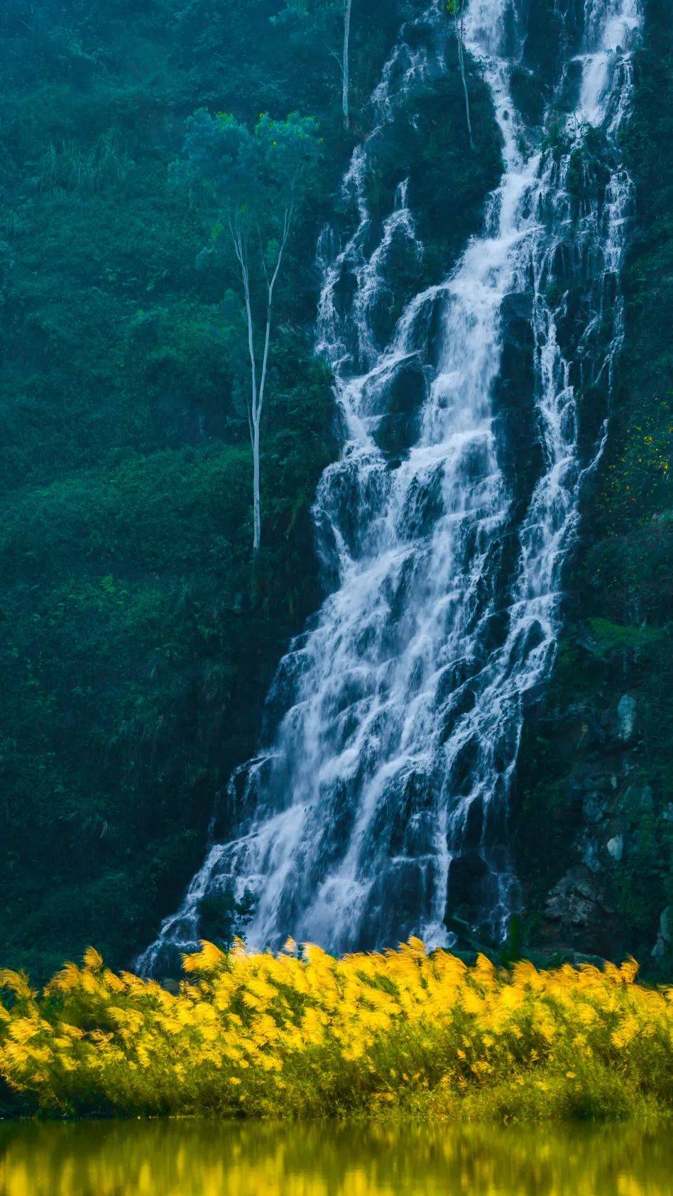 飞瀑探春,来东莞水濂山寻"龙"!