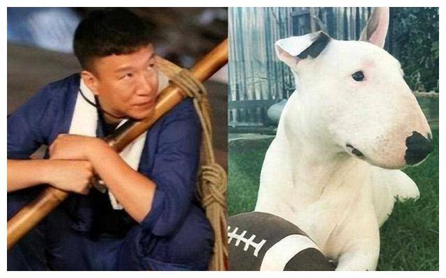 8位像动物的明星,王一博肖战还能忍,看到易烊千玺:是