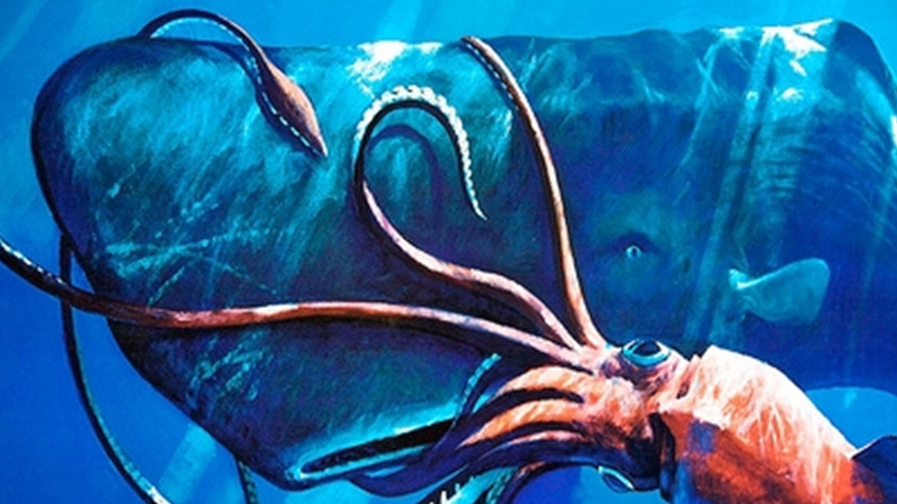 寿命只有一年半,却能长到400公斤,挑战抹香鲸!_大王_眼睛_深海