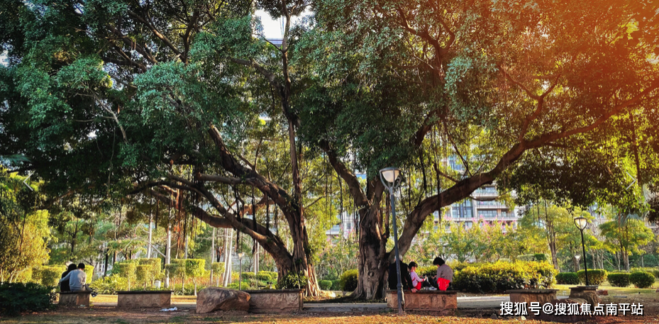 泉州保利隆恩清源臻悦售楼处电话丨怎么样?保利隆恩臻