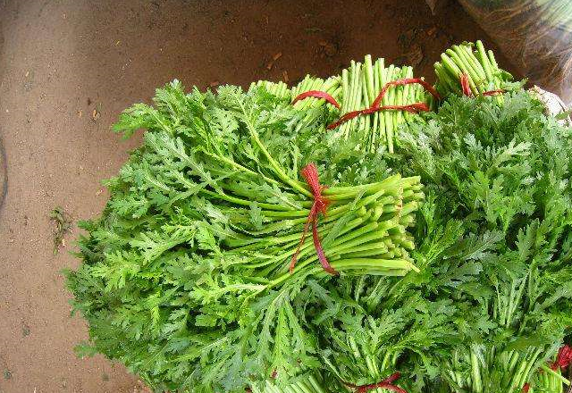 它是冬季"素菜之王",清炒脆嫩入味,下火锅是极品,还能