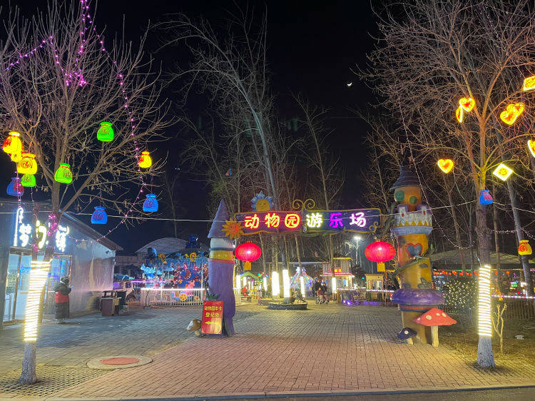 【演出篇】焦作森林动物园2024年"龙腾焦作"新年灯会!