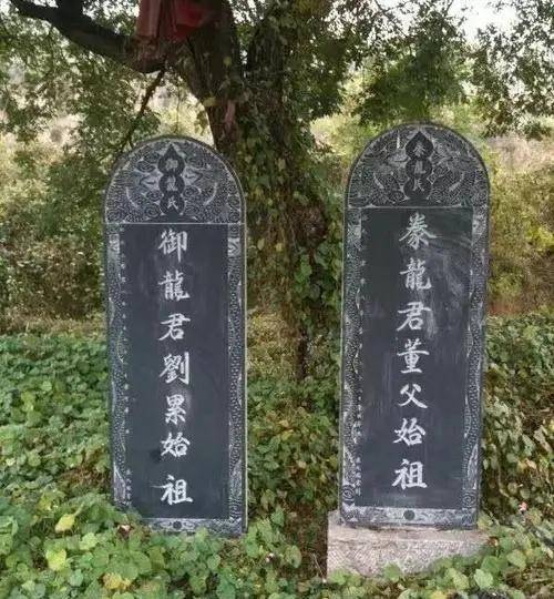 十二生肖里有"龙"生肖,夏朝也有专门驯养龙的"豢龙氏"和"御龙氏",说明