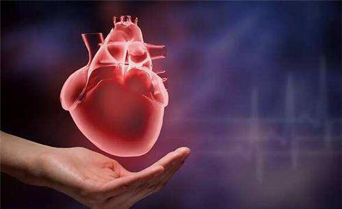 35年前,那个移植狒狒心脏的女孩,手术成功后,她过得怎样了?