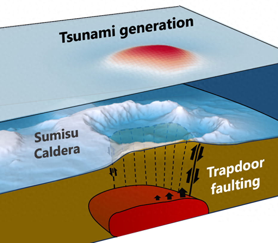 日本海底火山口发现奇异水母,胃部有鲜红十字,至今仅被发现2次_研究