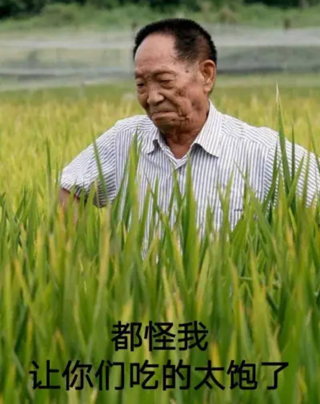 剩饭剩菜还能不能吃?