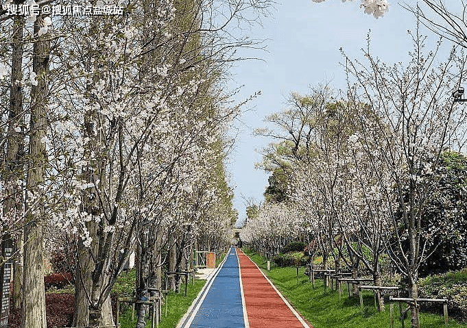 越秀向东岛-太仓(越秀向东岛)首页网站丨越秀向东岛您