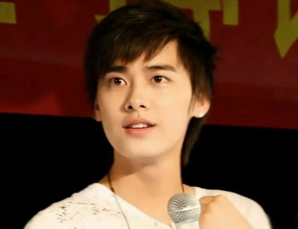 才9年,何炅选的"栀子花四帅"凉了俩,四美的差距竟也这么大了_李易峰