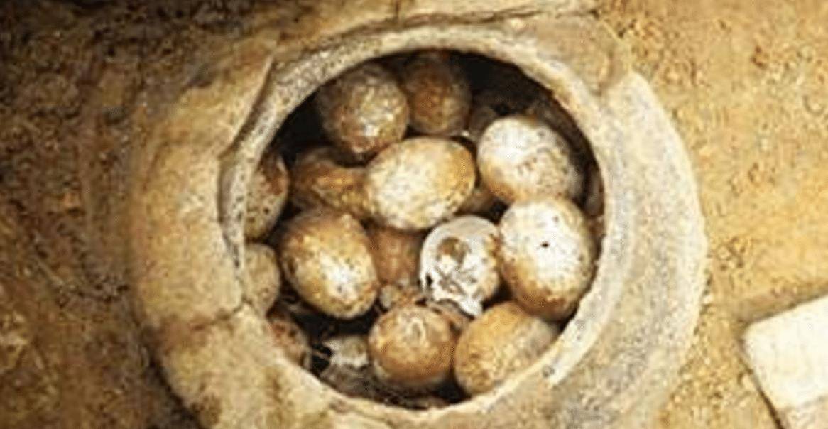 土墩墓是江南地区特有的墓葬,不同于向地下挖墓穴,其墓葬是把逝者放在