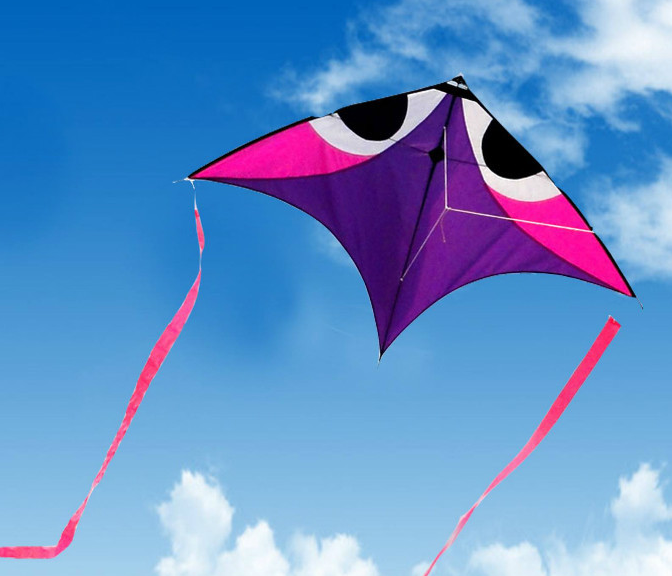 12星座专属风筝,水瓶座的你见过吗?_造型_金牛座_时光