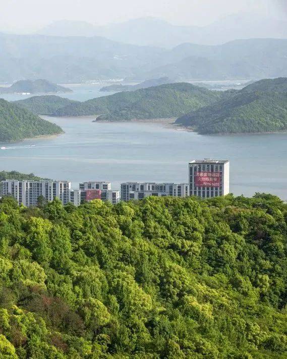 海风四季售楼处电话_售楼处地址「奉化海风四季」售楼中心_24小时电话