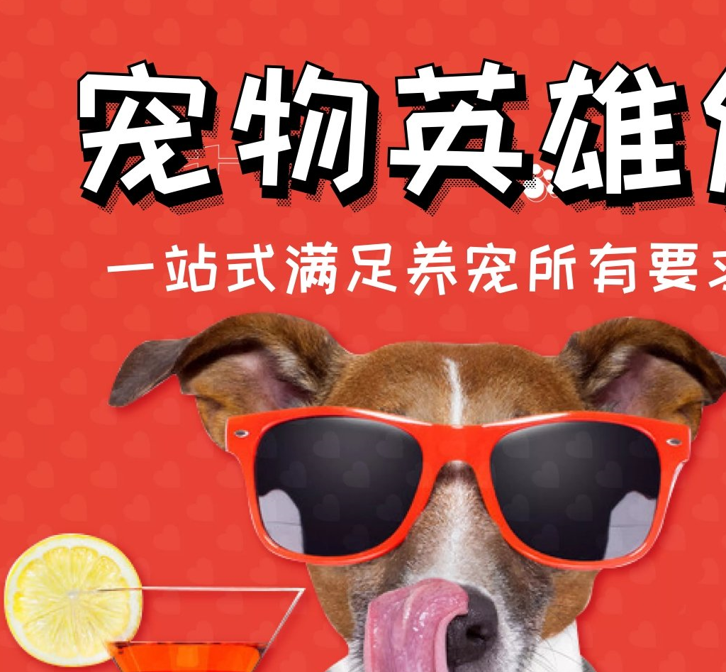 茶杯犬看着是很可爱,但真的不建议养,它们每天都承受着痛苦_狗狗_因为