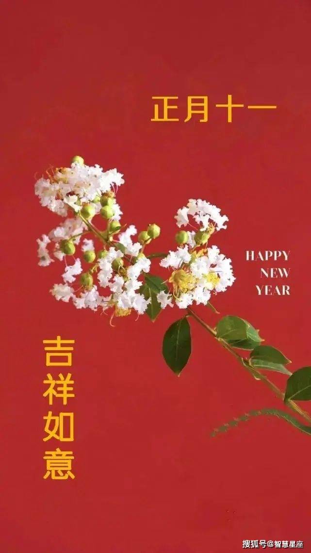 早安问候祝福动态表情图片 群发早晨好问候表情包动态图片