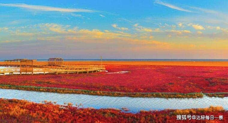 亲身体验红海滩国家风景廊道_红色_自然_湿地
