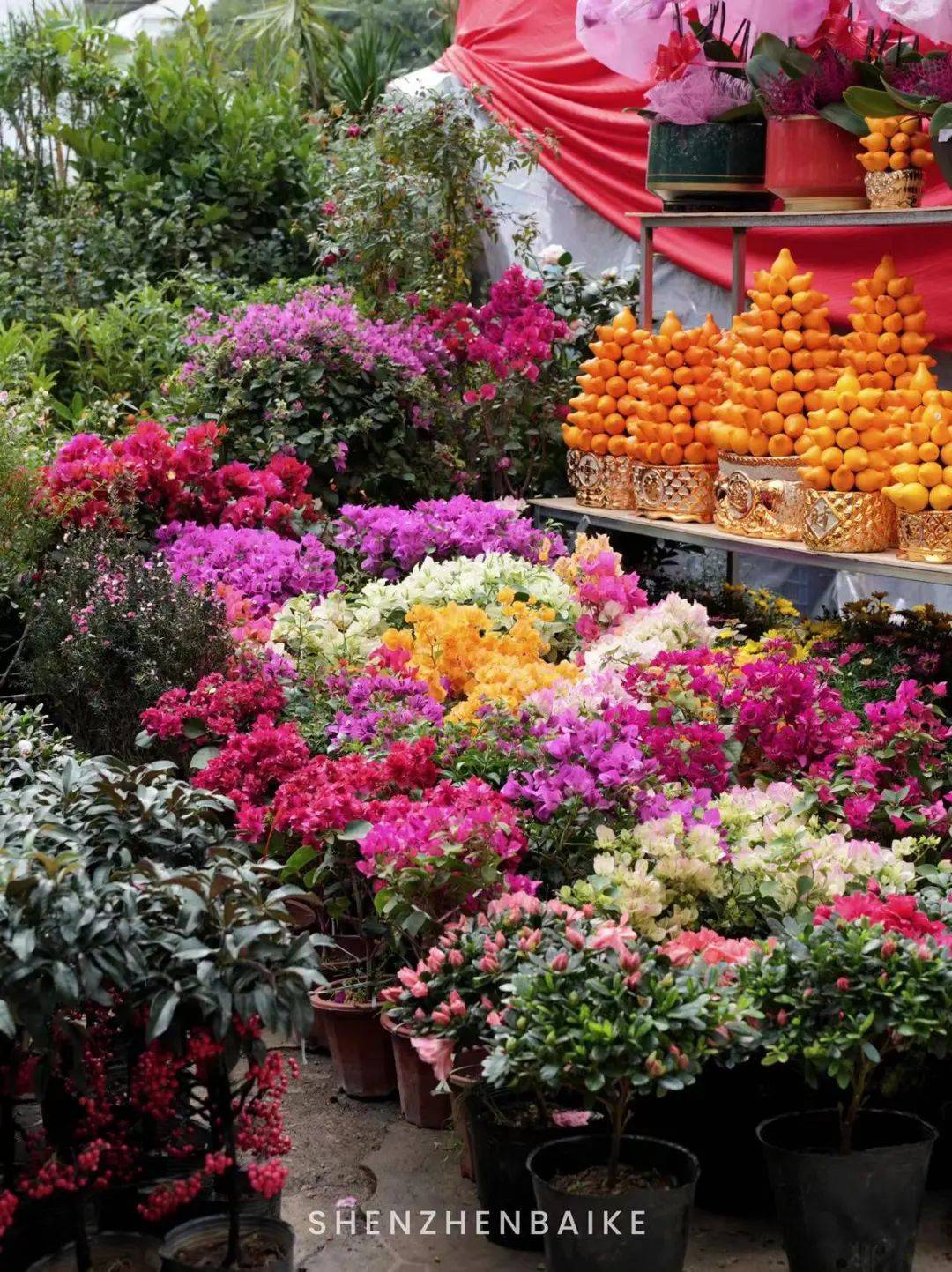 从便利度和花材种类来看,八卦岭花卉中心算得上是福田人日常买花的