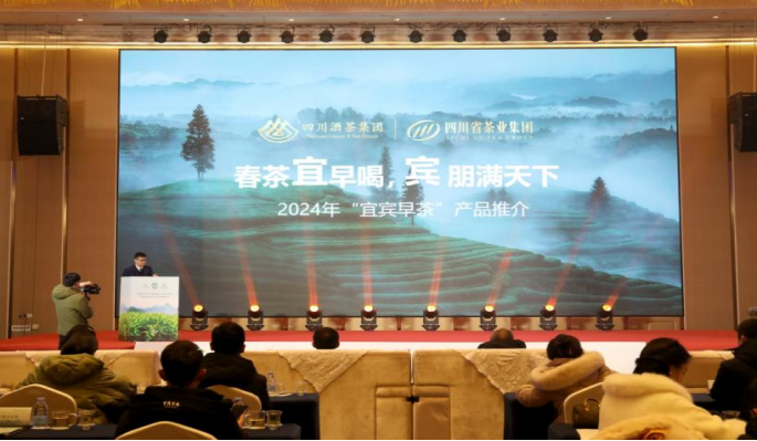 春雨润万物 翠屏早茶尝"鲜"了 | 2024第十七届中国·宜宾早茶节开采