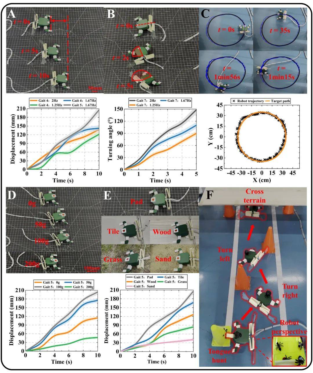 既能青蛙式游泳,又能弹涂鱼式爬行的软体机器人_运动_研究_设计