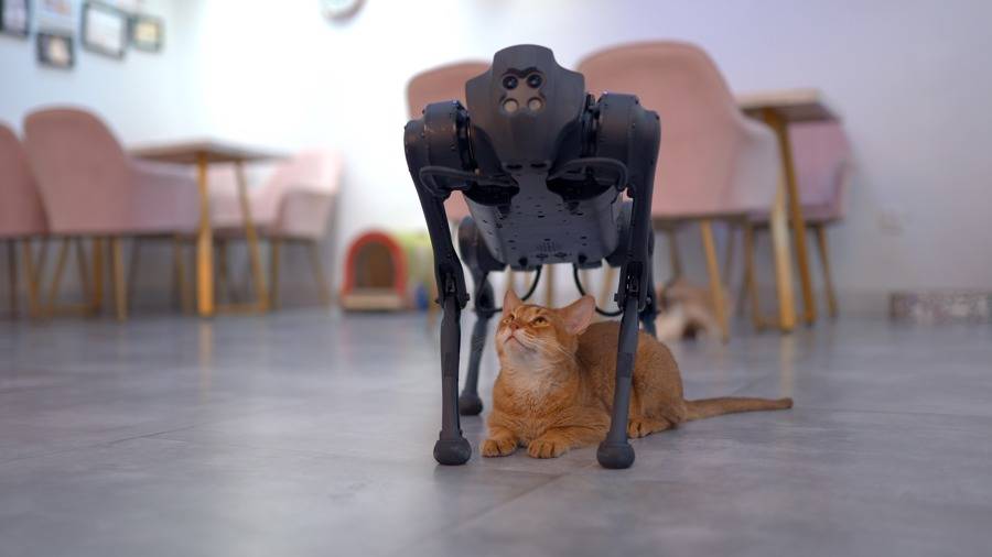 万元以内价格的机器狗是什么水平?_机器人_技术_行业